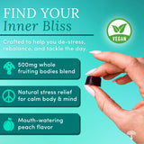 Bliss Mushroom Blend Gummies
