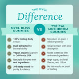 Bliss Mushroom Blend Gummies